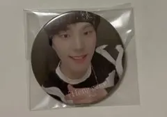 SEVENTEEN ヘンガレ　缶バッジ  ディノ