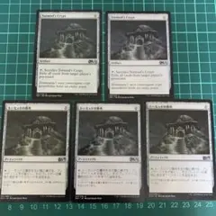 MTG トーモッドの墓所 5枚