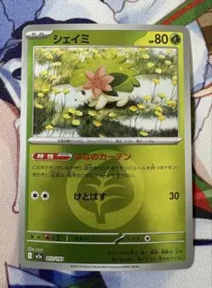 シェイミ PROMO 034/M-P チャンピオンシップシリーズ 2026 CL - メルカリ