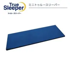 【新品】2枚セット　ミニトゥルースリーパー　ごろ寝マット