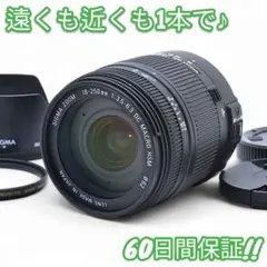 希少美品 SIGMA SD15ボディ 18-250mm ZOOMレンズセット Amazon | シグマ デジタル一眼レフカメラ SD15 ボディ SD15 Body