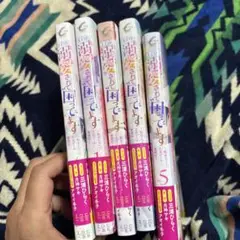 王子様に溺愛されて困ってます-転生ヒロイン、乙女ゲーム奮闘記- 1巻〜5巻