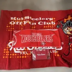 スティーラーズグッズ　セット販売