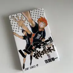 ハイキュー!! コンプリートガイドブック 排球本!