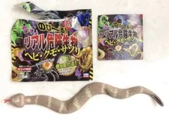 リアル危険生物