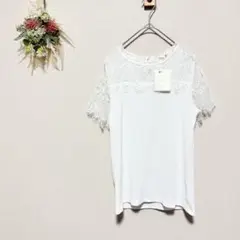 新品 ルタンキャルム 【M】 レースカットソー リブニット 透かし編み 白