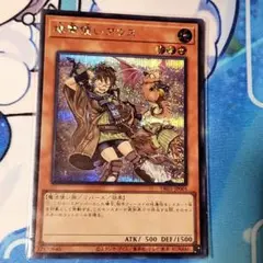 霊使い　イラスト違い　シークレット 霊使い イラスト違い シークレット 遊戯王 光霊使い ライナ 絵