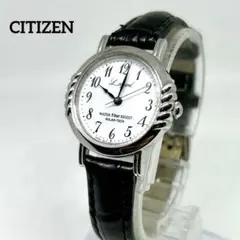 稼動品 CITIZEN Leopard レディース 腕時計 ソーラーテック