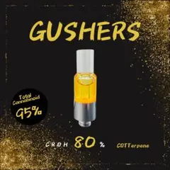 2025年最新】gushersの人気アイテム - メルカリ