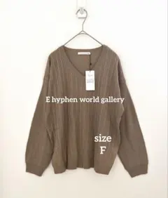 E hyphen world gallery ケーブルVネックニット F