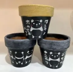 リメイク鉢セット⭐パンダ鉢　リメ鉢　リメイク缶　リメ缶　多肉　パンダ柄　ガーデン 2025年最新】リメイク鉢 パンダの人気アイテム - メルカリ