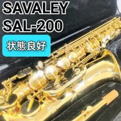 2026年最新】savaleyの人気アイテム - メルカリ