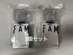 タイムレス　2025 ペンライト