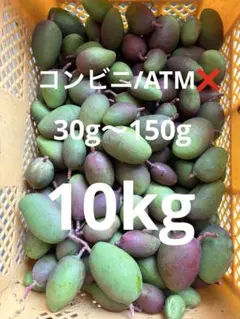 摘果マンゴー7kg - メルカリ