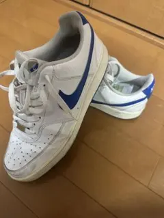 Nikeコートヴィジョン【AIRFORCEのシューアクセサリー付き】