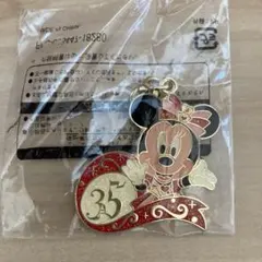 ディズニーリゾート35周年 チャーム ミニー - メルカリ