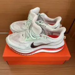 NIKE ペガサスプレミアム 27.5cm