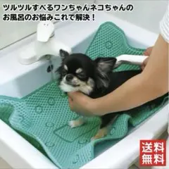 Item thumbnail for item b7239e31-0b33-4d5f-9a5c-3dacdf7b4a80