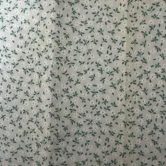 Item thumbnail for item 789885b2-6705-47eb-b437-098610347b82