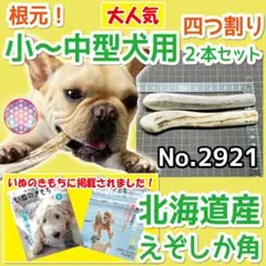 小～中型犬用 エゾ鹿の角 根元 4半割り２本 北海道産 犬 おもちゃ 29214のサムネイル