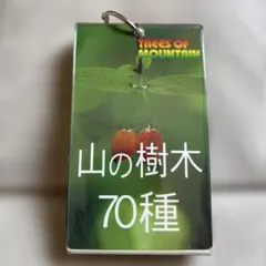 Item thumbnail for item c742a6f3-a9a6-4cc8-9347-fb71b9770744