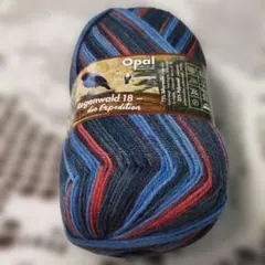 新品♪Opal Regenwald 18 die Expedition 100g