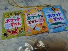 かんがえる　ポケットずかん セット（はる、なつ、あき、ふゆ）チャイルドブック保育