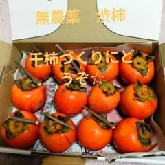 渋柿 12個入り 干柿づくりにどうぞ☆