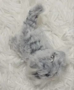 Item thumbnail for item f3a5a463-a7e9-4080-8f0b-6b5170756428