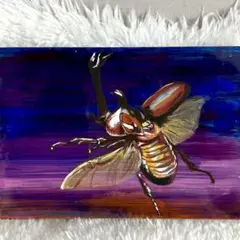 【カブトムシ】 アクリル画　原画　絵画　アート