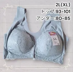 《新品》 シームレスで快適 フロントホックノンワイヤーブラ ブルー 2L 匿名