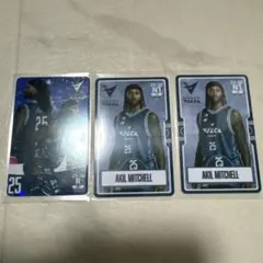 長崎ヴェルカ オンサイトカード #24 アキルミッチェル R N1