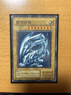 ブルーアイズ　ホワイトドラゴン