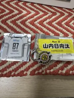 柏レイソルアクリルキーホルダー14点 内、久保藤次郎選手3点、原田亘
