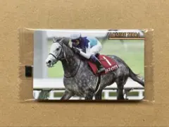 2737 アドマイヤテラ まねき馬倶楽部　競馬　カード