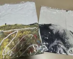 FREESTYLE2020 Tシャツ　2枚セット　大野智