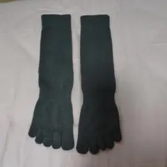 Item thumbnail for item 2946d177-2bf5-4d36-857b-1f9a9aebce75