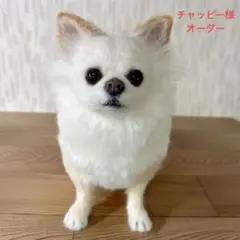 チャッピー様　オーダー専用　羊毛フェルト　犬　羊毛フェルトチワワ ゆうき様 オーダー専用 羊毛フェルト 犬 羊毛フェルトチワワ