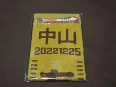 Item thumbnail for item 132b5650-aac0-41c2-b93d-90f96d73bf86