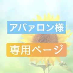 アバァロン様専用ページ　まとめ５枚セット