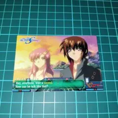 ガンダム SEED DESTINY カード×1 ラクス&キラ NO.110 初版