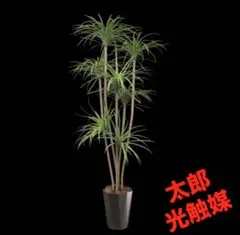 光触媒 人工観葉植物 ウォールグリーン フェイクグリーン クワズイモ株 