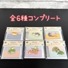 一番くじ 爬虫類＆両生類　J賞 メモパッド　全6種コンプリート