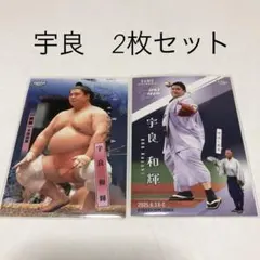 Item thumbnail for item da97aef7-81a5-4e89-884a-41104c1634b1