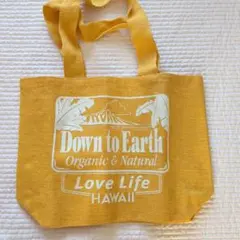 Item thumbnail for item 4a8a3060-cb98-48d0-9503-5a39abe30377