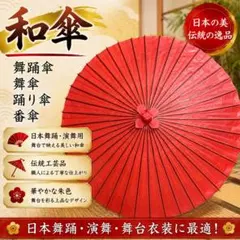蛇の目傘 羽二重傘 朱 番傘 和傘 傘 粋 着物 舞踊 大衆演劇 和装 撮影 