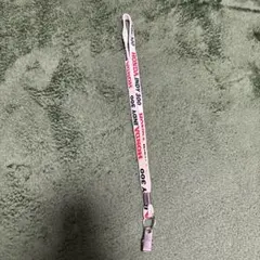 Item thumbnail for item bf6436ff-4ef2-4f09-8a01-fb977db11af8