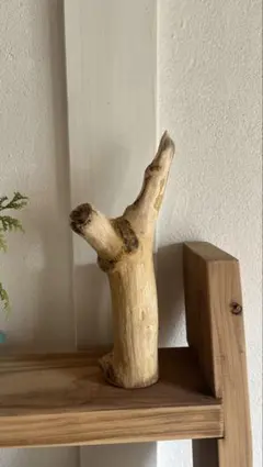 【インテリア】柿の木のオブジェ アクセサリー掛け