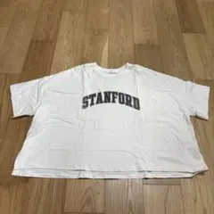 【美品✨】AMERICAN HOLIC STANFORD BIGプルオーバー L