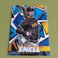 2025年最新】ブレイク・スネルの人気アイテム - メルカリ